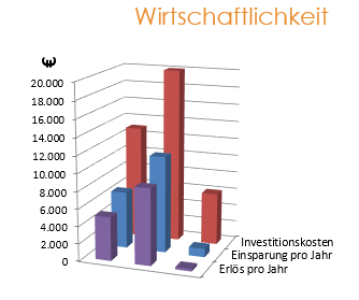 Wirtschaftlichkeit einer Maßnahme inkl. Förderung